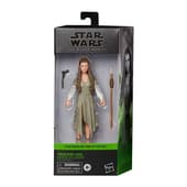 Star Wars The Black Series - Figurine d'action de la princesse Leia (Village Ewok) 15cm