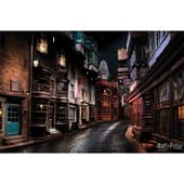 Harry Potter (Diagon Alley) Maxi Poster