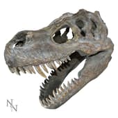 Nemesis Now - Tyrannosaurus Rex - Petit crâne de dinosaure 39.5c