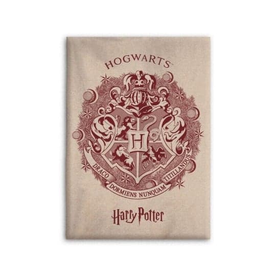 Harry Potter - Couverture en flanelle (110x150cm)